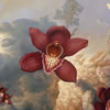 Aerial Blooms