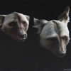 Wild African Dogs (Study)